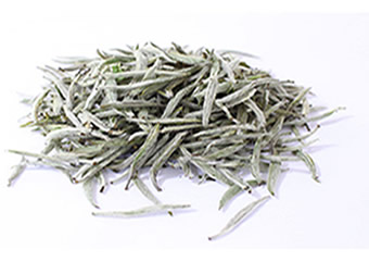 What is Chinese White Tea?